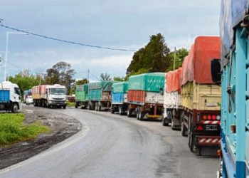 Cosecha gruesa: realizarán un abrazo simbólico sobre Ruta 91 en La Ribera