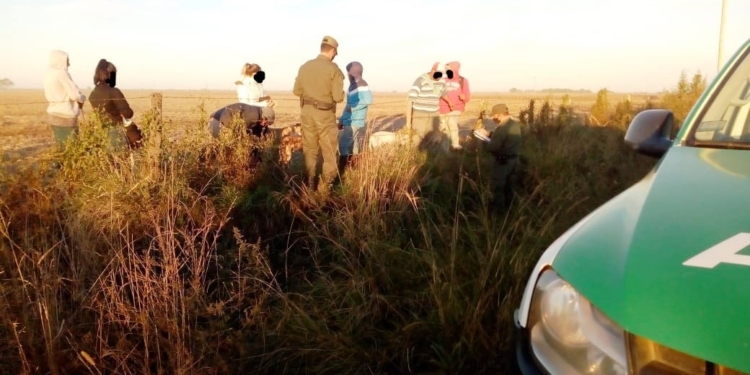 Operativos en Barrancas, Monje y Gaboto: un pescador y 11 cazadores sancionados