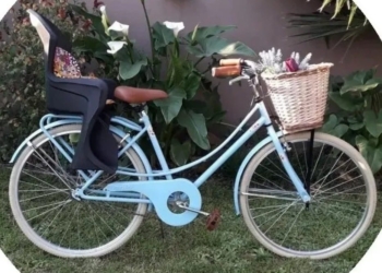 Delincuentes ingresaron a robar en una vivienda de Totoras