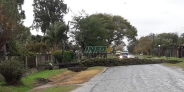 El viento derribó un pino en Gaboto y afectó el tendido eléctrico