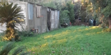 Timbúes: una perra pitbull atacó y mató a un hombre de 45 años