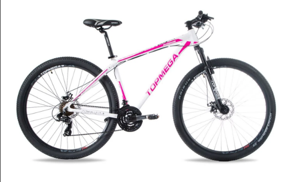 Ladrones se llevaron otra bicicleta en Totoras y se reiteran los hechos