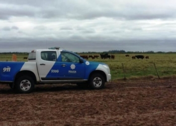 Robaron múltiples herramientas y armas en un campo de Oliveros