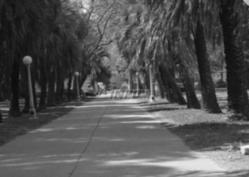 Murió otro paciente de la Colonia de Oliveros y son 12 las víctimas fatales