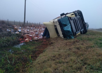 Impactante vuelco de un camión cargado con verduras en Ruta 65