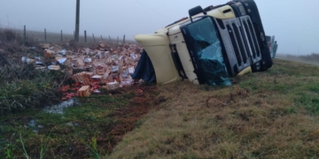 Impactante vuelco de un camión cargado con verduras en Ruta 65
