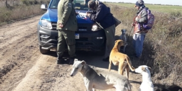 Sancionaron a cuatro cazadores de Barrancas y San Fabián: sin licencia ni autorización