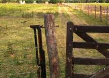 Clarke: rompieron una tranquera y robaron costosas herramientas en un campo