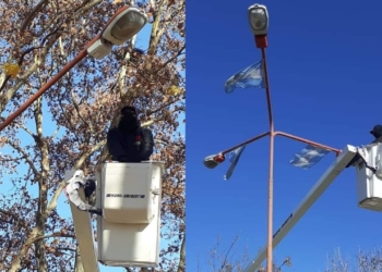 Comenzaron a colocar luces led en los bulevares de Totoras