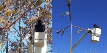 Comenzaron a colocar luces led en los bulevares de Totoras