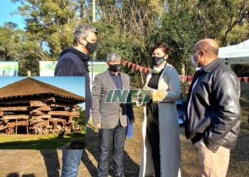 «Aripuca»: el salón que se construirá en Andino con troncos de árboles añejos