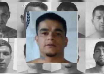 Allanamiento en Oliveros por un prófugo de Piñero: un detenido por encubrimiento