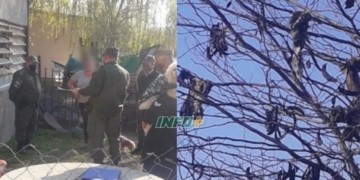 Allanamiento y detención en San Genaro por cazar un gato montés: las redes sociales fueron la clave