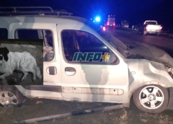 Un utilitario despistó entre Monje y Barrancas: un hombre herido y buscaban a su perro
