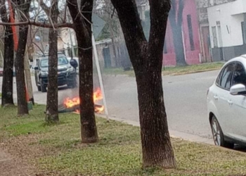 ¿Descuido o vandalismo? Arrojaron brasas a un contenedor en Timbúes y terminó incendiado