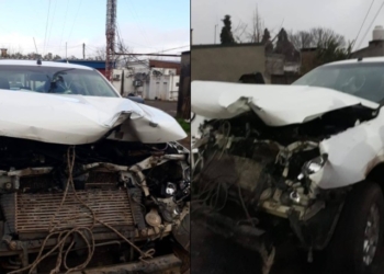 Un presidente de la región chocó contra animales en un vehículo comunal