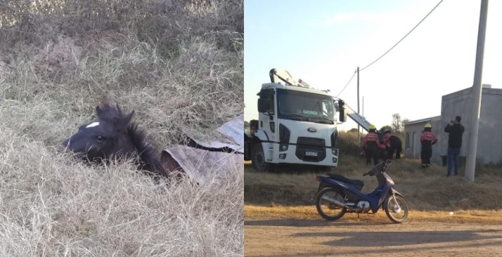 Bomberos rescataron a un caballo que cayó a un pozo en Centeno
