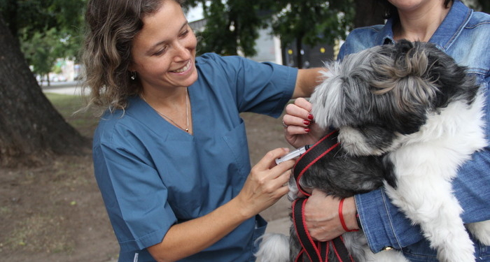Timbúes presentó su cronograma para la vacunación antirrábica