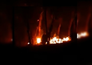 Tragedia en Correa: un hombre murió al incendiarse una precaria vivienda