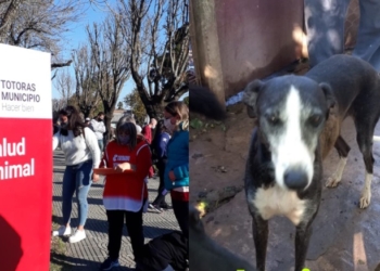«Vaciemos el refugio» es la nueva campaña de adopción animal en Totoras