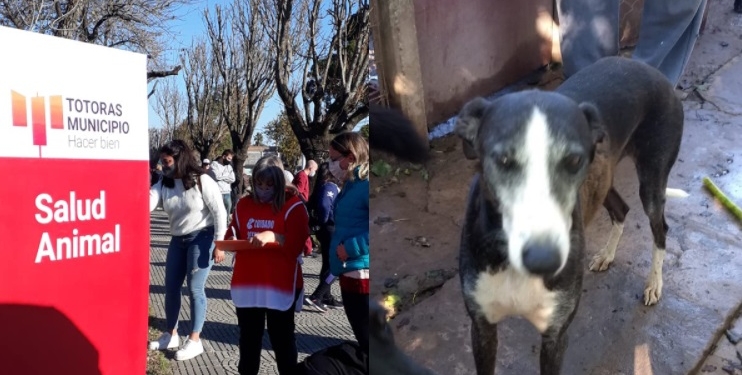 «Vaciemos el refugio» es la nueva campaña de adopción animal en Totoras