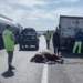 Un camión atropelló a un caballo en la autopista: el dueño del animal no apareció