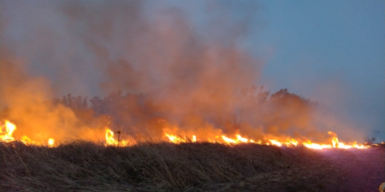 Bomberos sin descanso: tres incendios forestales este martes en la región