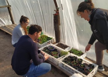 Marcos Tomas y una apuesta a la producción agroecológica en Totoras
