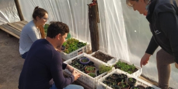 Marcos Tomas y una apuesta a la producción agroecológica en Totoras