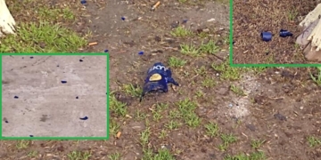 Oliveros: se levantó y encontró botellas de vidrio rotas por todo su patio