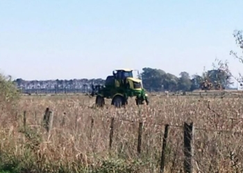 Lunes de fumigación y bronca de vecinos en Maciel