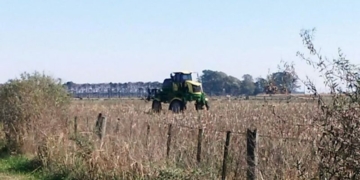 Lunes de fumigación y bronca de vecinos en Maciel