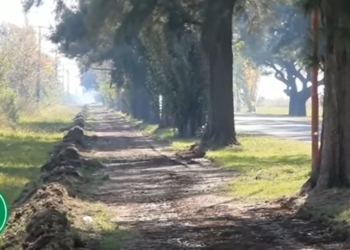 Construyen un paseo peatonal en uno de los accesos a San Genaro