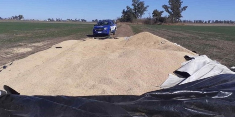 Otra vez los silobolsas: robaron 7 mil kilos de soja en un campo de Correa 