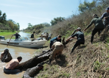 Realizaron una limpieza en el arroyo El Ternero en Puerto Gaboto