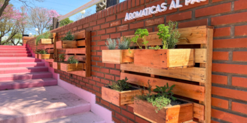 Aromáticas al paso: una curiosa novedad en Correa