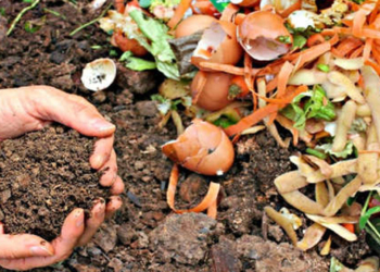 Monje invita a una charla de compostaje junto a una película para toda la familia