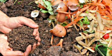 Monje invita a una charla de compostaje junto a una película para toda la familia