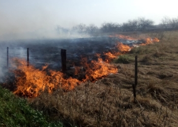 Siguen los incendios de pastizales: se quemaron 100 hectáreas entre Clason y San Genaro