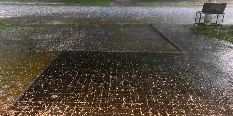 Temporal, rayos y granizo: los datos de lluvia caída en la región