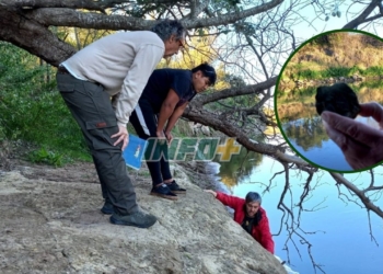 Andino: los expertos encontraron más huesos y se organizará una jornada con los vecinos