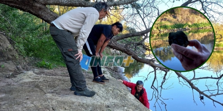 Andino: los expertos encontraron más huesos y se organizará una jornada con los vecinos