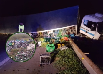 Un camión cargado con cajones de cervezas cruzó de carril y volcó en autopista