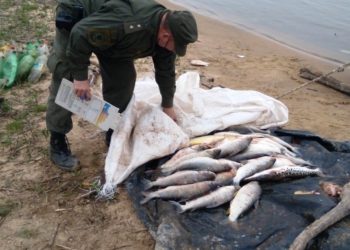Siete pescadores sancionados en zona de islas entre Gaboto y Monje