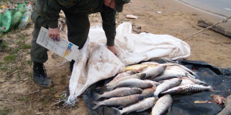 Siete pescadores sancionados en zona de islas entre Gaboto y Monje