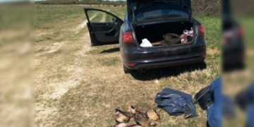 Tres hombres sancionados en Puerto Aragón por caza ilegal