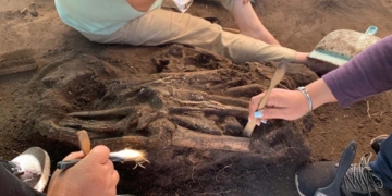 Hallazgo histórico: encontraron restos óseos humanos milenarios