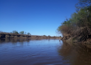 Nuevo proyecto para declarar Área Natural Protegida al Arroyo de Monje