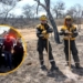 Bomberos de Oliveros y San Genaro combaten incendios forestales en San Luis