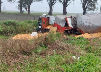 Identificaron al camionero fallecido en Ruta 91, entre Serodino y Totoras